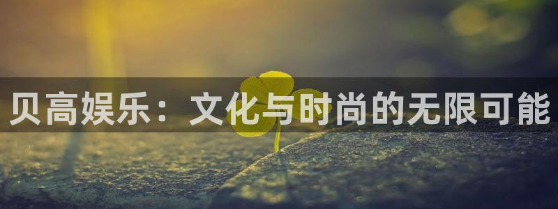 永信贵宾会官网217