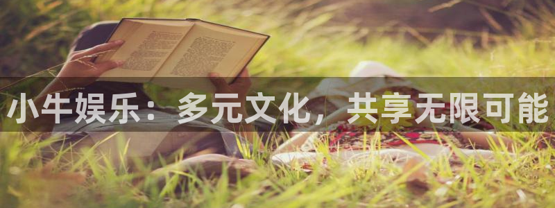 永信贵宾会手机版