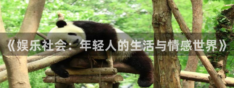 永信贵宾会网址
