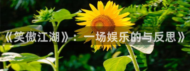 永信贵宾会官网