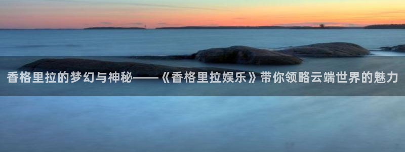 永信贵宾会官网