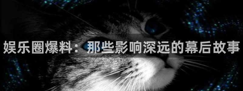永信贵宾会备用网址